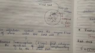 Reverse Transcription and Reverse Transcriptase [upl. by Hahseram]