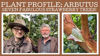 Plant profile arbutus  we take a look at seven different strawberry trees [upl. by Nho279]