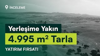 Kütahya Haymana Köyünde Yerleşime Çok Yakın 4995 m2 Tarla İnceleme Videosu  Toprak Rehberi [upl. by Syl440]