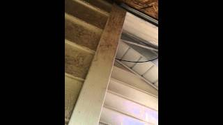 Stopping Raccoons at Soffit Entry [upl. by Lleryd]