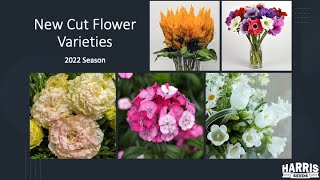 2022 New Cut Flower Varieties from Harris Seeds [upl. by Natsrik]