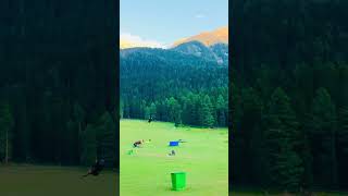 Baisaran valley phelgam kashmir baisaranvalley nature happydays viral shorts [upl. by Eilrak]