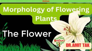 Morphology of Flowering Plants  The Flower  Parts of Flower  Aestivation  TepalPerianthamitsir [upl. by Onitnas]