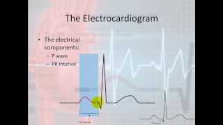 Basic Electrophysiology part 4  The Bumps and Squiggles [upl. by Lavinia]