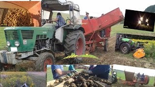 Kartoffelernte mit Deutz D6006 und Sprint MulchenGrubbern [upl. by Suciram]