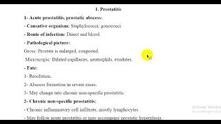 Prostatitis [upl. by Hayley608]