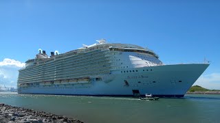 Carnival Glory Allure of the Seas and Disney Wish Depart Port Canaveral [upl. by Nalad329]