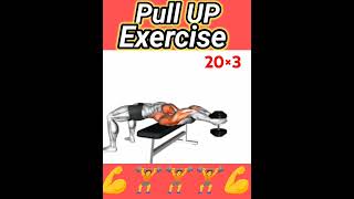 Pull Up Exercise gymworkout 30dayschallengebodytransformation chhanharifitness [upl. by Evers]