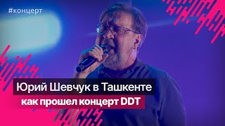 Концерт группы DDT в Ташкенте 2024 officialddt [upl. by Joana]