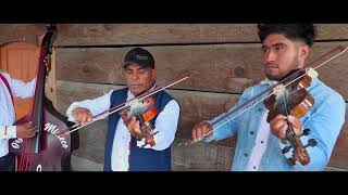 ORGULLO MIXTECO ⋆MUSICA REGIONAL DE GUITARRA Y VIOLIN ᴴᴰ [upl. by Season]