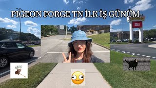 İLK İŞ GÜNÜM ABD TN PIGEON FORGE  VLOG [upl. by Otsirave]