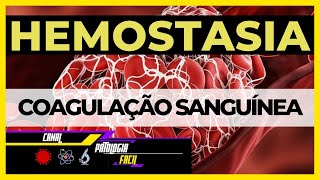 Hemostasia e Coagulação Sanguínea Atuação das Plaquetas e Cascata de Coagulação Atualizado 2022 [upl. by Isnyl]