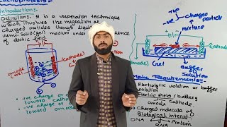 Introduction to Electrophoresis  Electrophoresis [upl. by Ayekat]