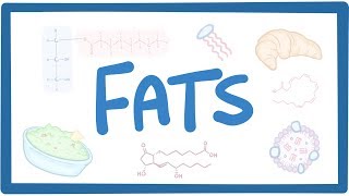 Mono and Polyunsaturated Fat Explained Made Easy to Understand [upl. by Karub]