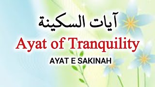 Ayat of Tranquility amp Peace Sheikh Muhammad Asghar Abbasi آیات السکیینة لدفع الهموم  Ayat e Sakinah [upl. by Suelo]