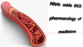 Nitric oxideNOpharmacology of mediatorsAdham saleh [upl. by Enilasor918]