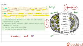 Assertion Monocotyledonous and dicotyledonous plants shownmarke [upl. by Orji148]