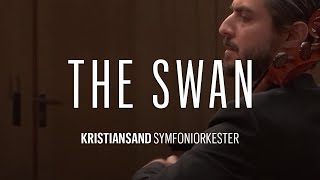 SaintSaëns The Swan  Leonardo Sesenna [upl. by Attela]