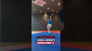 Karate Kid Tutorial Daniel LaRusso’s Crane Kick 🦵🏻🥋 karate shorts [upl. by Hestia178]