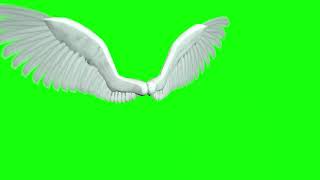 GREEN SCREEN  ANIMATED ANGEL WINGS  ANGEL WINGS  CHROMA KEY  Teacher Burnz [upl. by Marianna216]