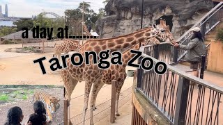 Walking tourSydney Taronga Zoofamous tourist spot in Australia travelvlog [upl. by Surat315]