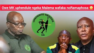 Isibhamu siphethwe uhlanya owe MK ephendula eka Malema efaka no Ramaphosa 😳Zizwele [upl. by Haliek]