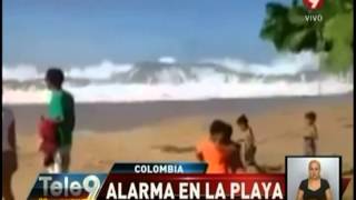 Colombia Alarma en la playa [upl. by Andrade]