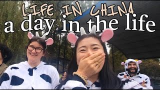 LIFE IN CHINA  When teaching in China [upl. by Dualc]