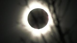 2024 SOLAR ECLIPSE  Watch as the sun is eclipsed by the moon over London Ont [upl. by Wynnie]