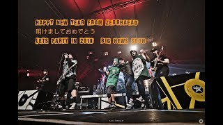 Zebrahead  Happy New Year Welcome to 2019Lets Party [upl. by Aynna]