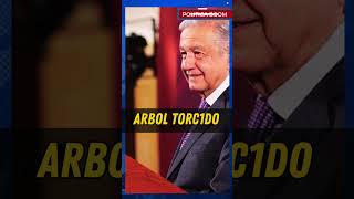 🔴 ARBOL QUE NACE TORCIDO los peje shorts 2024 [upl. by Lurlene]