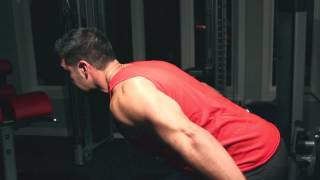 Isometrics for MASS 90 Seconds To Thicker Triceps [upl. by Idyh825]