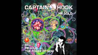 Captain Hook  The Power of Now [upl. by Idou]