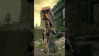 Awesome New DLC Weapons in Elden Ring Shadow of the Erdtree [upl. by Nekial]