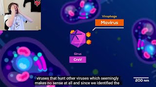 xQc reacts to This Virus Shouldnt Exist But it Does  Kurzgesagt [upl. by Adaynek]