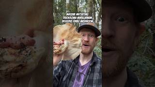 Massive Matsutake Mushroom Tricholoma murrillianum Delicious ASMR Fried Tempura Style Part I [upl. by Isa917]