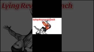 Lying reverse crunch lyingexercises reverse crunch workout [upl. by Rozalie]