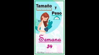 👉 Semana 34 de Embarazo 📏 Tamaño y Peso de tu Bebé [upl. by Mattland]