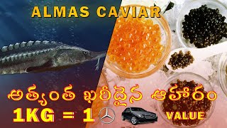 Almas Caviar  Worlds Most Expensive Food [upl. by Behn]