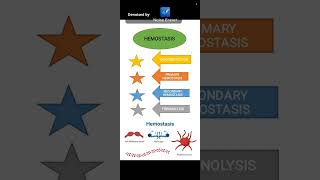 Hemostasis [upl. by Baudoin]