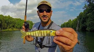 SUMMER BASS FISHING BLUEGILL SWIMBAIT River2Sea SWAVER [upl. by Opalina]