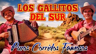 Los Gallitos Del Sur  20 Corridos Famosos Album Completo [upl. by Dolora]