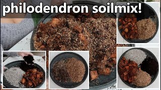 4 DIFFERENT SOIL MIX FOR AROIDS LIKE PHILODENDRON PLANTS [upl. by Ardnuat315]