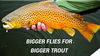 Using Bigger Flies for Bigger Trout [upl. by Story]