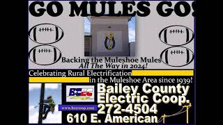 Muleshoe Mules vs Dalhart Wolves Football October 4 2024 [upl. by Oina]