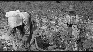 Daily Life As a Sharecropper  Documentary Clip [upl. by Adnawal]