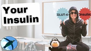 Your INSULIN 🐧 [upl. by Alehtse]