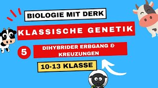 Klassische Genetik  5  Dihybrider Erbgang amp Kreuzungen 3 Mendelsche Regel  10  13 Klasse [upl. by Yrtsed621]