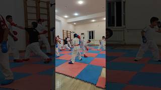 Shotokan karate Training 🥋 [upl. by Eniahs311]