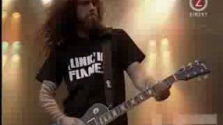 In Flames  Black and White live [upl. by Nikal]